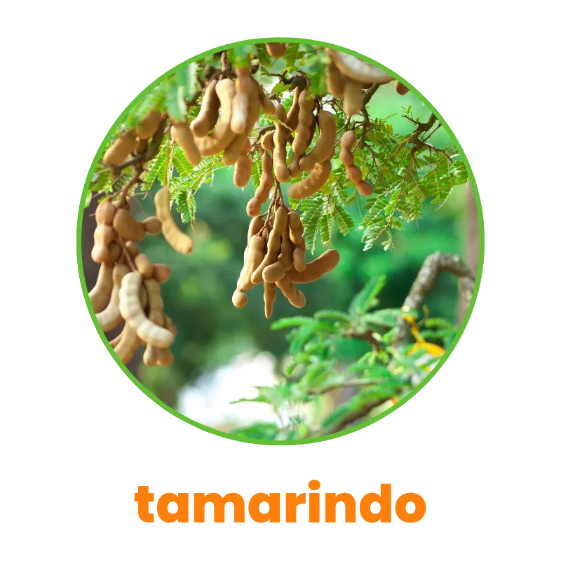 Tamarindo
