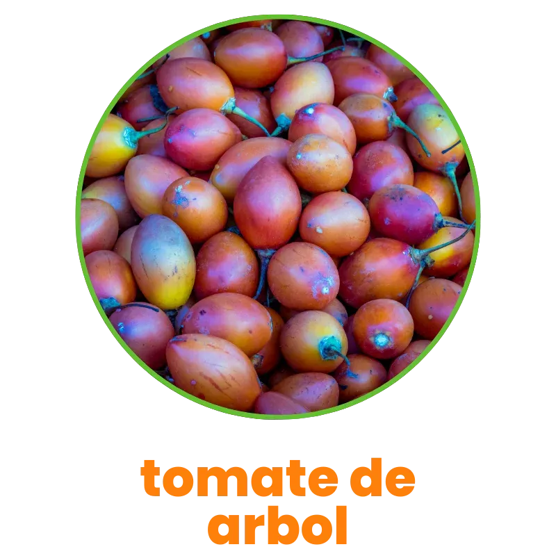 Tomate de Árbol